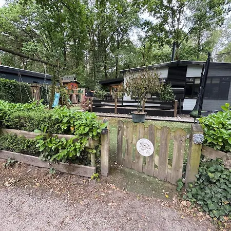 Boshuisje Little Hiding - Diessen