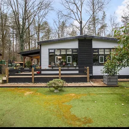 Boshuisje Little Hiding - Diessen