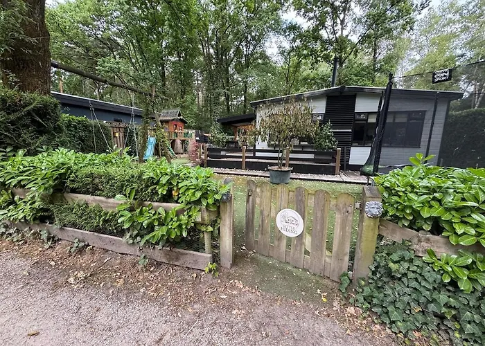 Boshuisje Little Hiding - Diessen