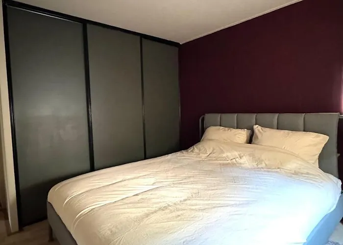 Boshuisje Little Hiding -